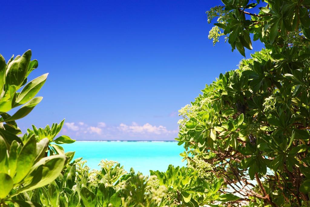 Holiday Cottage Thoddoo, Maldives Exteriör bild
