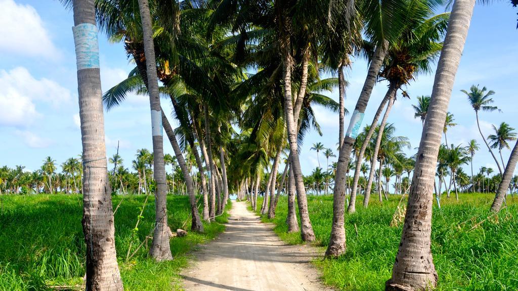 Holiday Cottage Thoddoo, Maldives Exteriör bild
