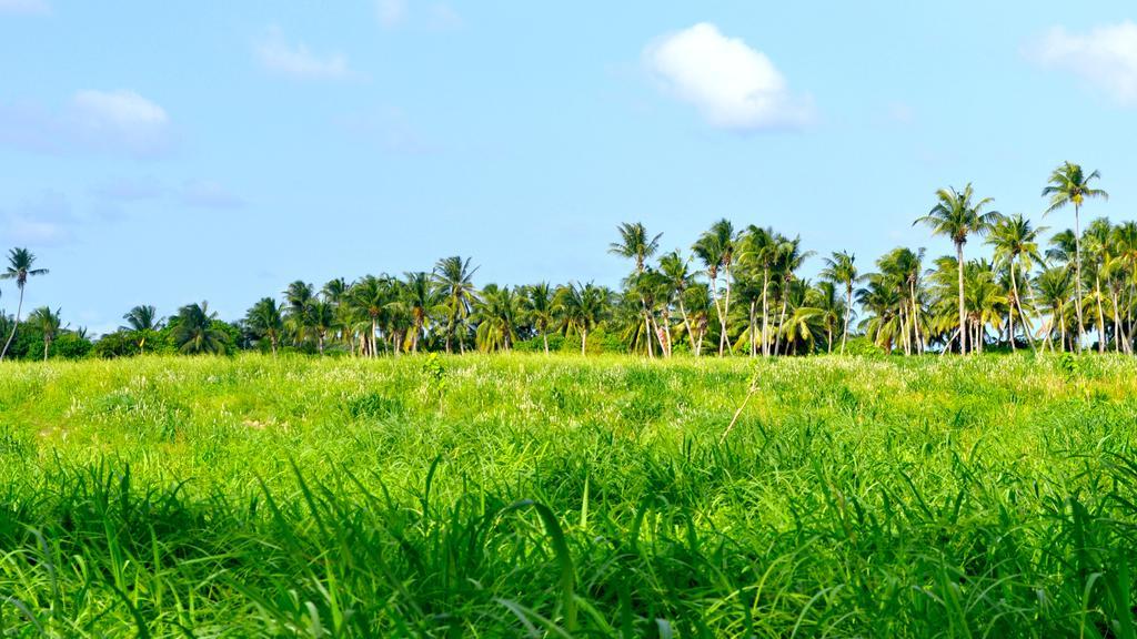 Holiday Cottage Thoddoo, Maldives Exteriör bild